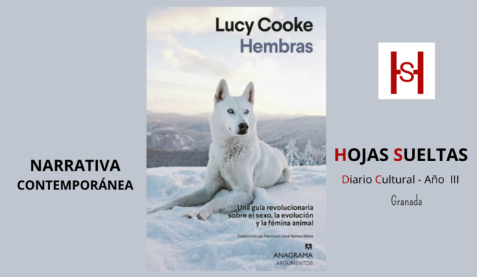 Hembras_H.S.